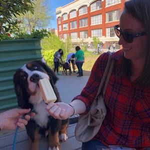 Meet your Posher, Mackenzie